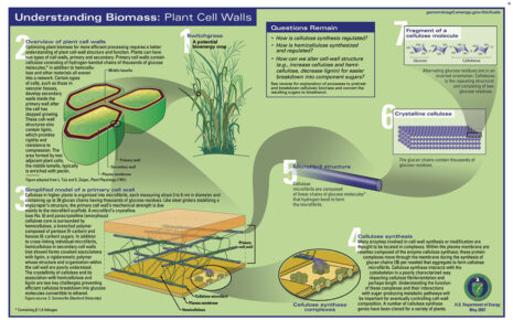Biofuels Primer Placemat Back