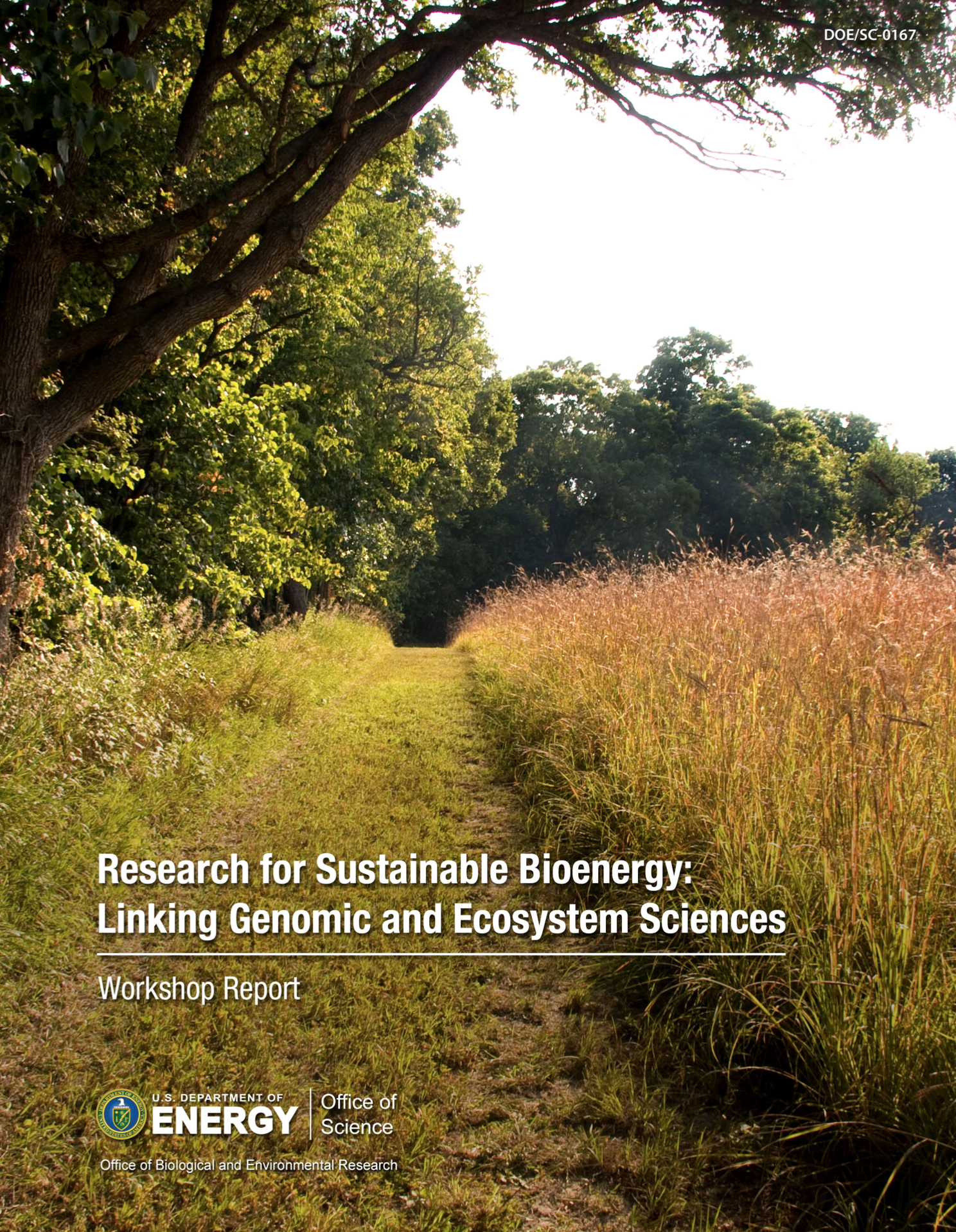 Research for Sustainable Bioenergy: Linking Genomic and Ecosystem ...