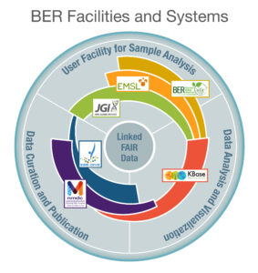 Data and Analysis Ecosystem.
