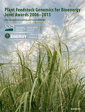 2013 USDA-DOE_Awards