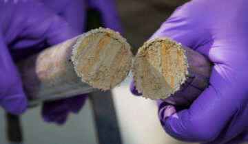 sfa research image
