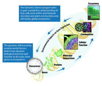 multiscale explorations diagram