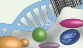 sfa research image