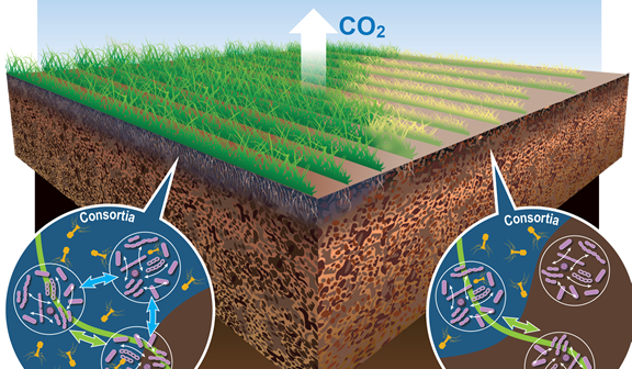 sfa research image