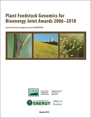 USDA-DOE Plant Feedstock Genomics for Bioenergy
