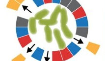 sfa research image