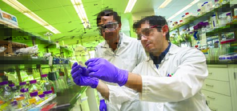 Designing Sustainable Aviation Fuels.