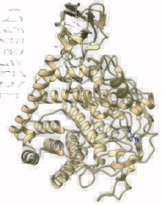 Engineered Cellulases.