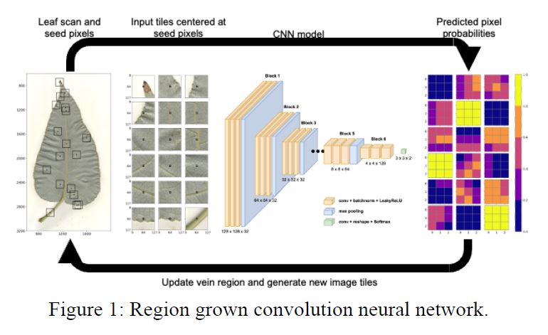 AI-informed systems figure 1