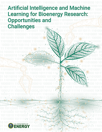 Artificial Intelligence and Machine Learning for Bioenergy Research