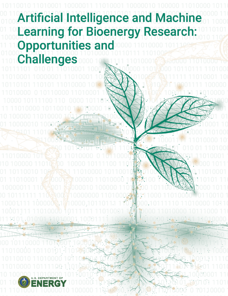 AMBER report cover