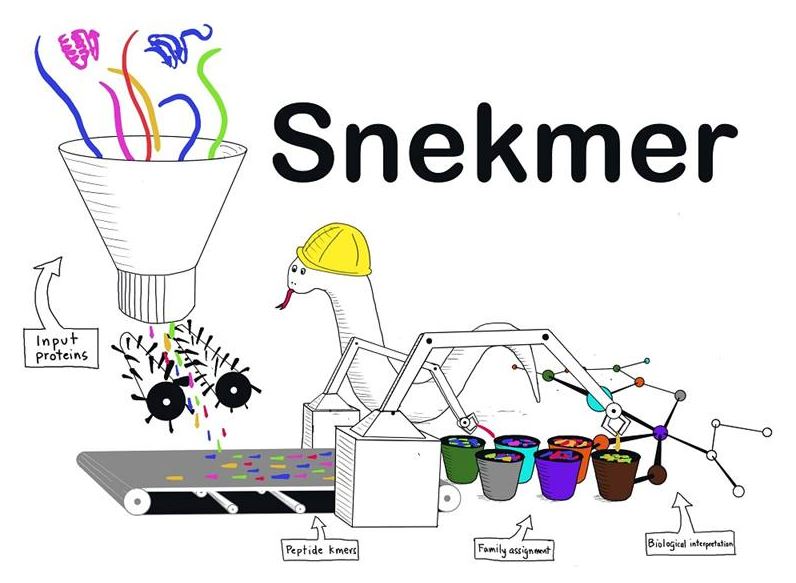 Cartoon of Snekmer highlighting input proteins, peptide kmers, family assignment, and biological interpretation.