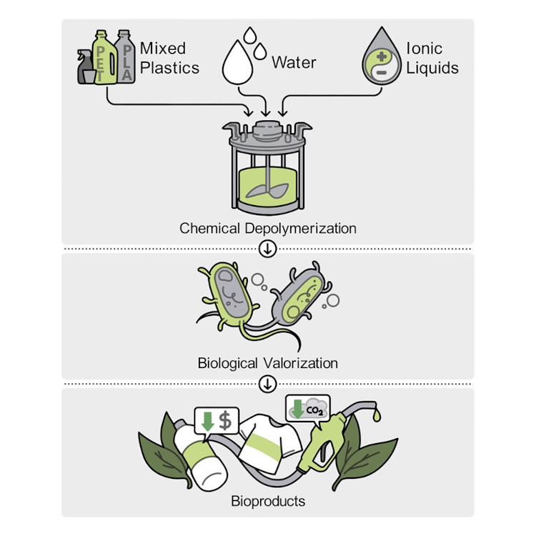 A process diagram for a chemical-biological approach for upcycling mixed plastic waste.