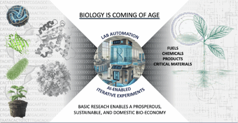 Screenshot 2025 03 13 At 9.01.41 am