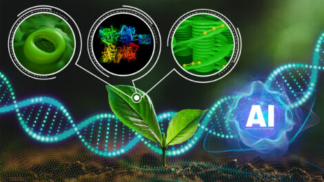 Graphical representation of a plant, DNA, and photosynthetic traits with artificial intelligence written next to it.