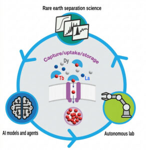 A graphical representation of RESCUE's workflow using AI models and agents and autonomous labs to advance rare earth separation science.