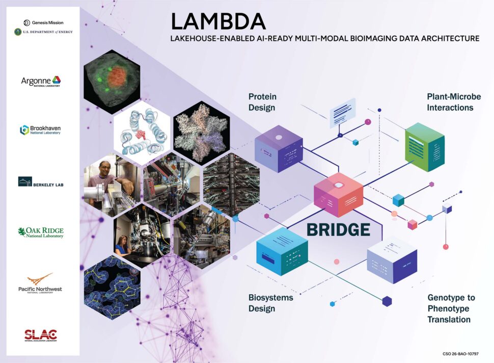Graphical representation of the LAMBDA project, which includes protein design, plant-microbe interactions, biosystems design, and genotype to phenotype translation all connected by BRIDGE, the BER Data Lakehouse.