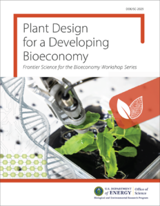Plant Design for a Developing Bioeconomy