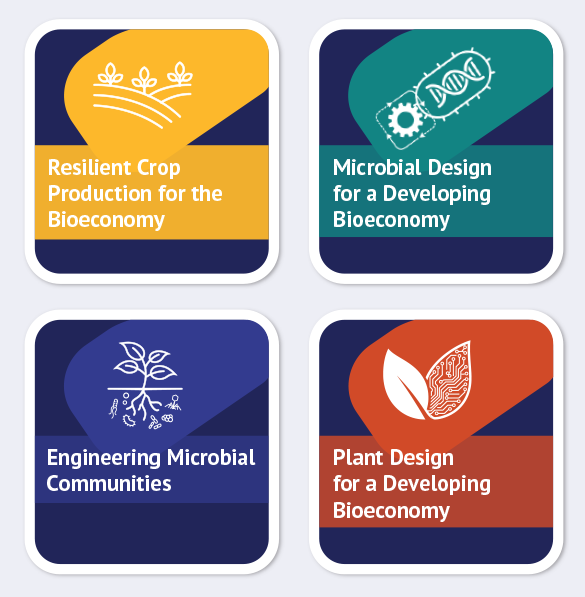 Frontiers Graphic Text Widget