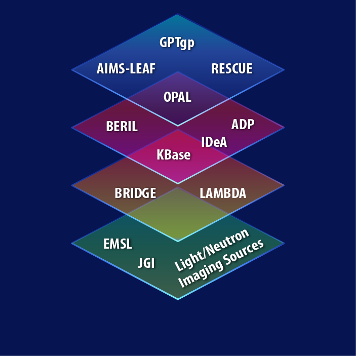 Bdnx Web Square Alt
